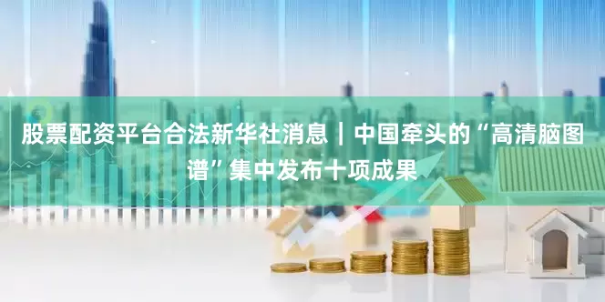 股票配资平台合法新华社消息｜中国牵头的“高清脑图谱”集中发布十项成果
