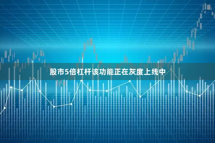 股市5倍杠杆该功能正在灰度上线中