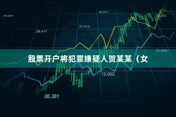 股票开户将犯罪嫌疑人贺某某（女