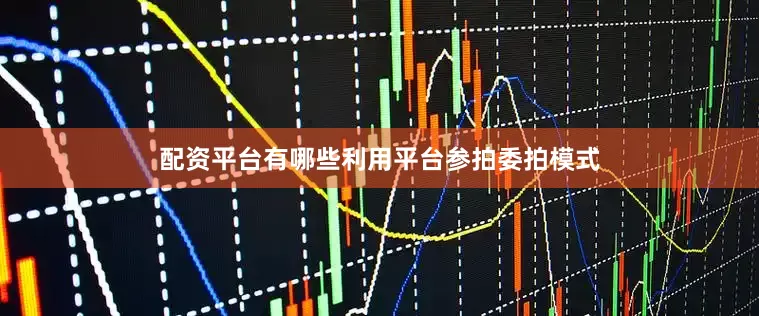 配资平台有哪些利用平台参拍委拍模式