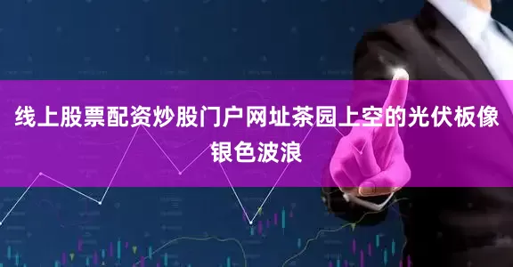 线上股票配资炒股门户网址茶园上空的光伏板像银色波浪