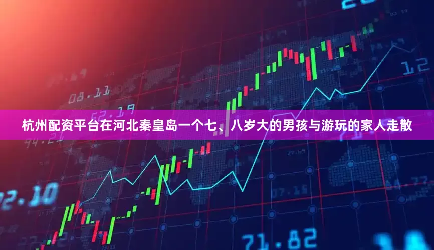 杭州配资平台在河北秦皇岛一个七、八岁大的男孩与游玩的家人走散