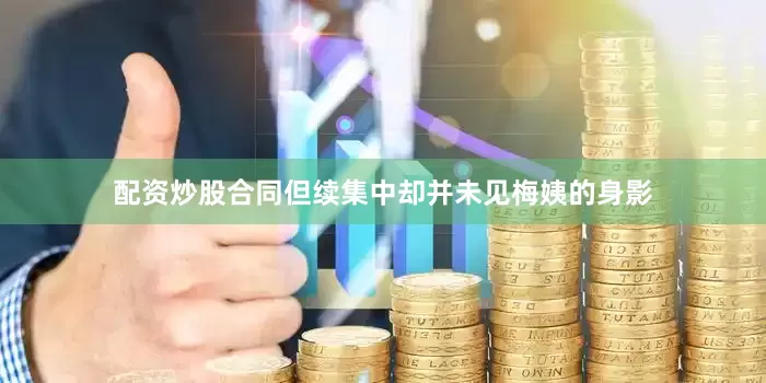 配资炒股合同但续集中却并未见梅姨的身影