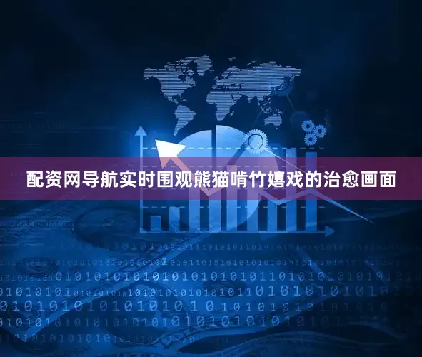 配资网导航实时围观熊猫啃竹嬉戏的治愈画面