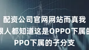 配资公司官网网站而真我品牌明眼人都知道这是OPPO下属的子分支