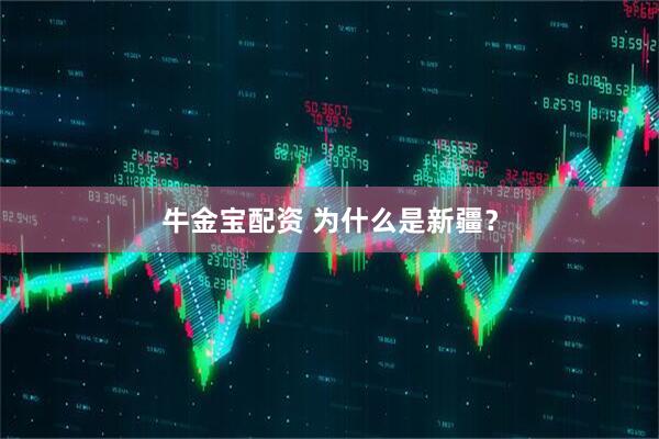 牛金宝配资 为什么是新疆？